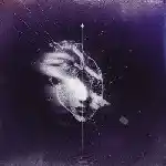 دانلود آهنگ ته خط از سینجیم